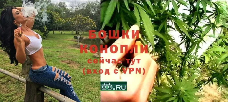 МАРИХУАНА THC 21%  shop наркотические препараты  Пошехонье 